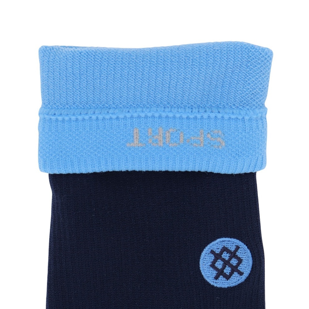 スタンス（STANCE）（メンズ）野球 STRIPES OTC 2023 ソックス A759A23STR LIGHT BLUE 速乾