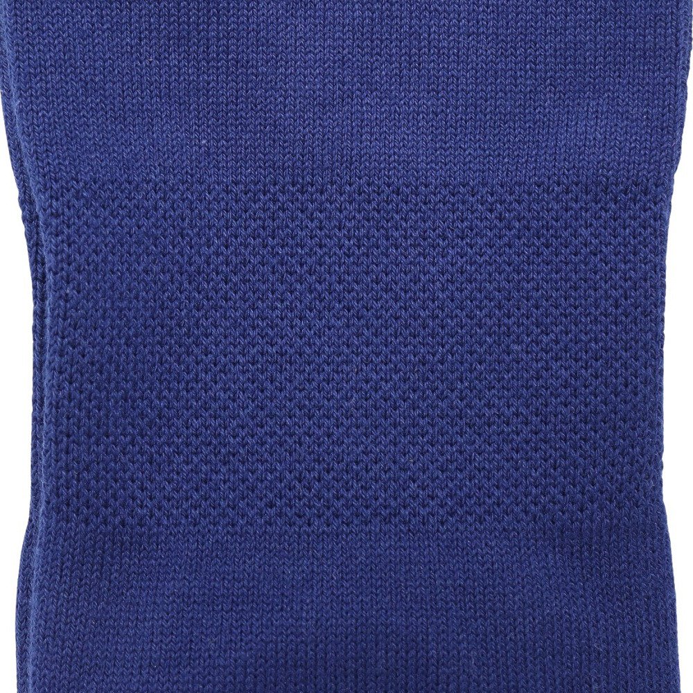 スタンス（STANCE）（メンズ）野球 LA SISTERS クルーソックス A545A22LAS BLU ロサンゼルス・ドジャース