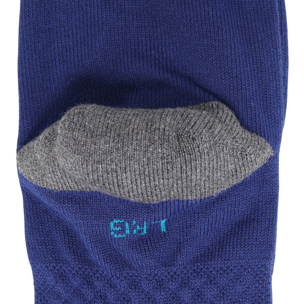 スタンス（STANCE）（メンズ）野球 LA SISTERS クルーソックス A545A22LAS BLU ロサンゼルス・ドジャース