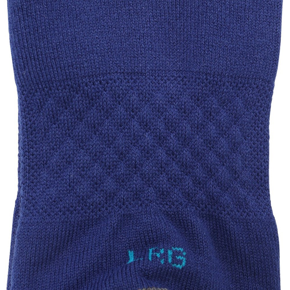 スタンス（STANCE）（メンズ）野球 LA SISTERS クルーソックス A545A22LAS BLU ロサンゼルス・ドジャース