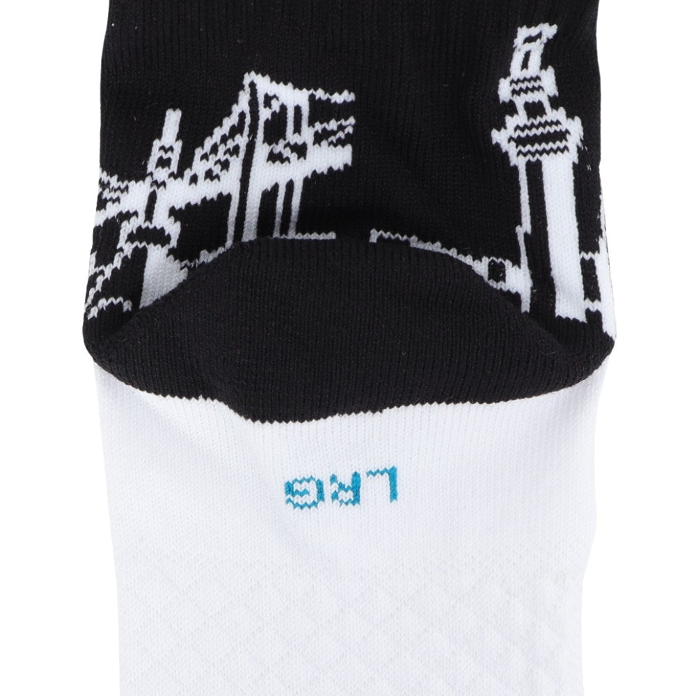 スタンス（STANCE）（メンズ、レディース）野球 TOKYO GIANTS ソックス A556A24TOK BLK