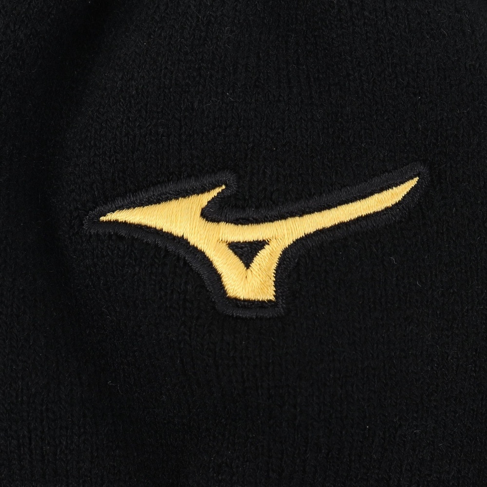 ミズノ（MIZUNO）（メンズ、レディース）野球 発熱素材 ミズノプロ ブレスサーモレッグウォーマー 2枚入り mizuno pro 12JYBU0109