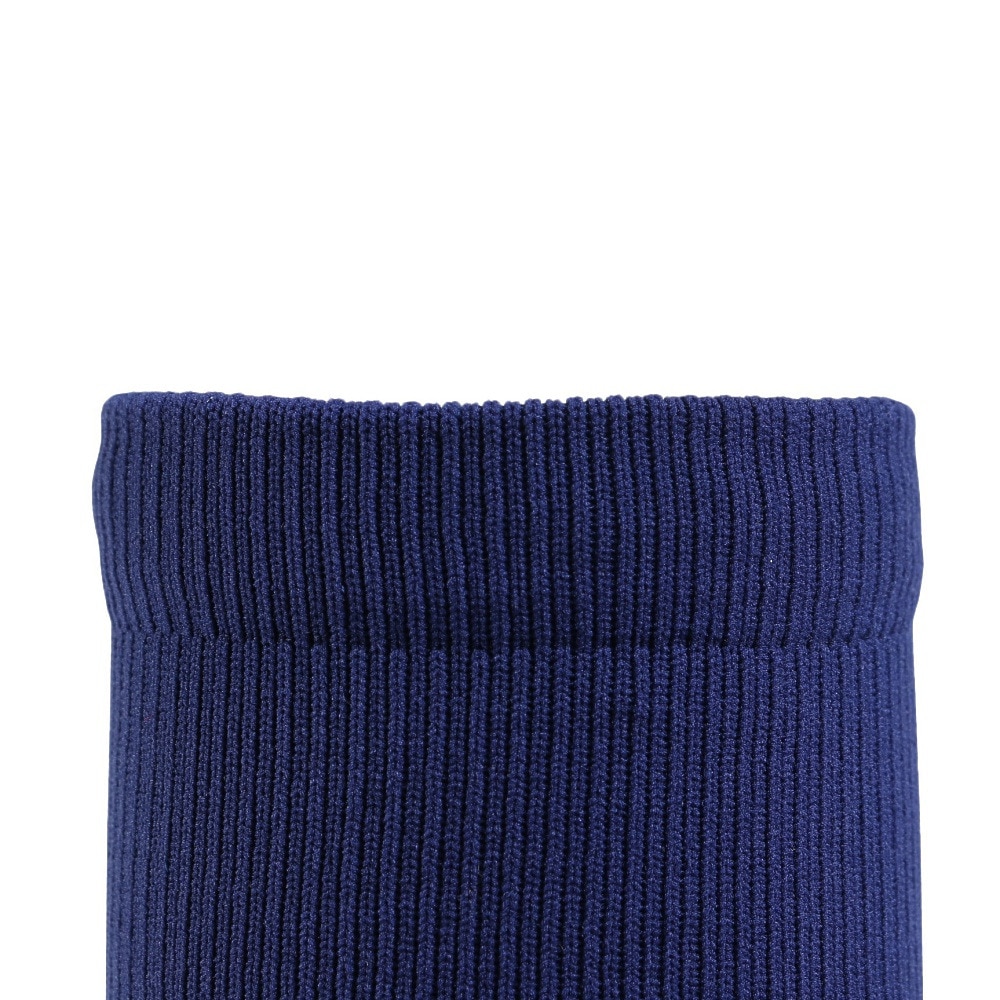 スタンス（STANCE）（メンズ）野球 ソックス DODGERS ROAD OTC A759A25DOD BLU