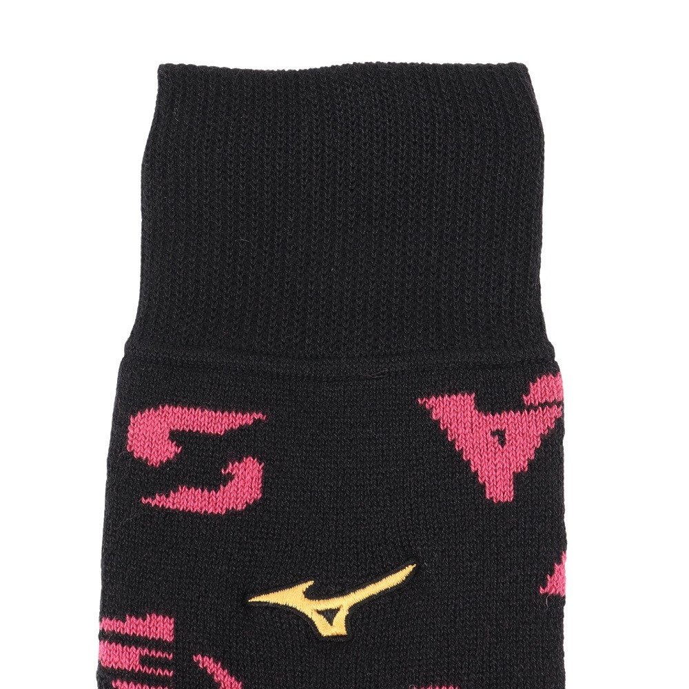 ミズノ（MIZUNO）（メンズ、レディース）野球 ミズノプロ 吸湿発熱 ブレスサーモレッグウォーマー 12JYCU5009 NS