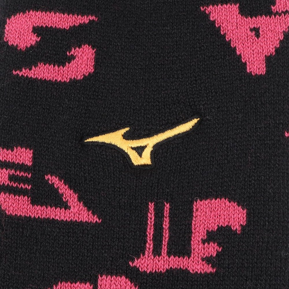 ミズノ（MIZUNO）（メンズ、レディース）野球 ミズノプロ 吸湿発熱 ブレスサーモレッグウォーマー 12JYCU5009 NS