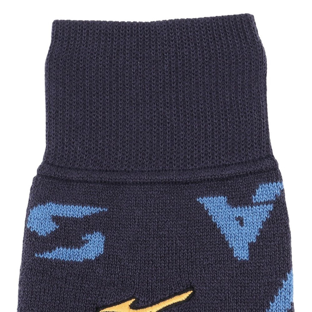 ミズノ（MIZUNO）（メンズ、レディース）野球 ミズノプロ 吸湿発熱 ブレスサーモレッグウォーマー 12JYCU5014 NS