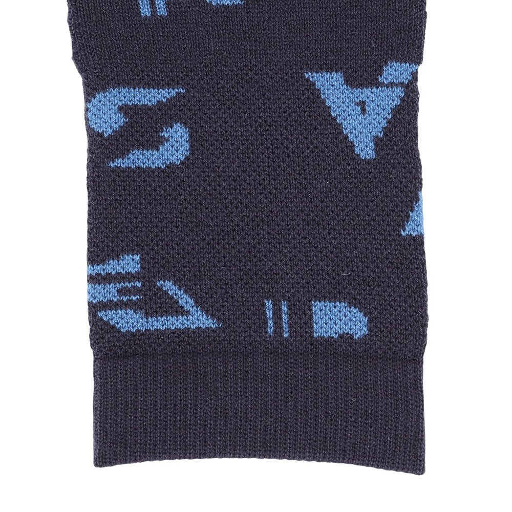 ミズノ（MIZUNO）（メンズ、レディース）野球 ミズノプロ 吸湿発熱 ブレスサーモレッグウォーマー 12JYCU5014 NS