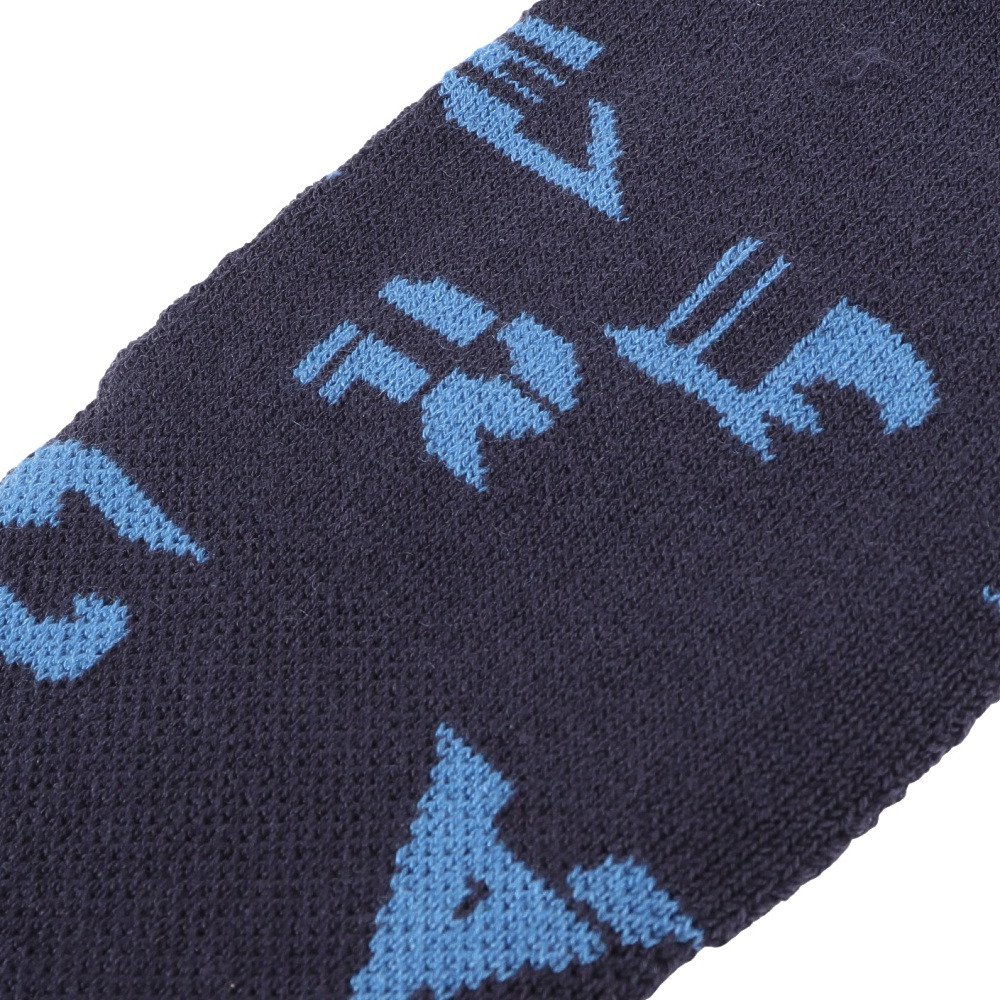 ミズノ（MIZUNO）（メンズ、レディース）野球 ミズノプロ 吸湿発熱 ブレスサーモレッグウォーマー 12JYCU5014 NS