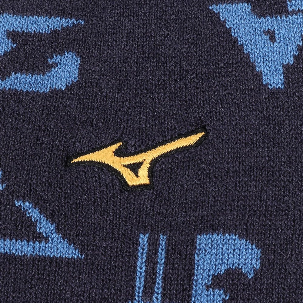 ミズノ（MIZUNO）（メンズ、レディース）野球 ミズノプロ 吸湿発熱 ブレスサーモレッグウォーマー 12JYCU5014 NS