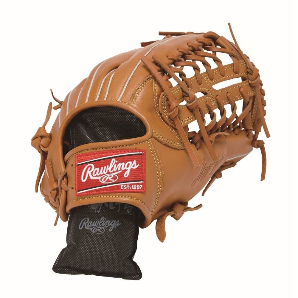 ローリングス（Rawlings）（メンズ）グラブドライヤー EAOL10S13