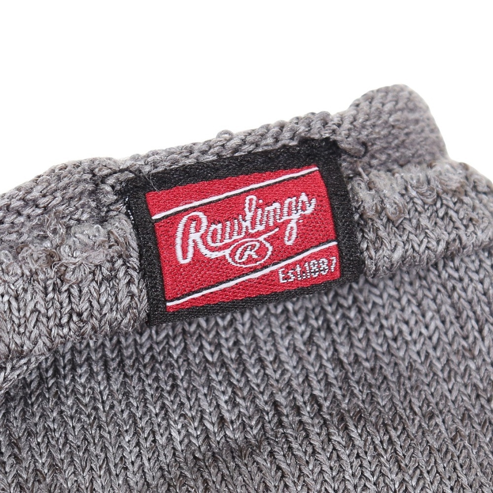 ローリングス（Rawlings）（メンズ、レディース）野球 メンテナンス用 クロス シャイン シャイン EAOL11S02