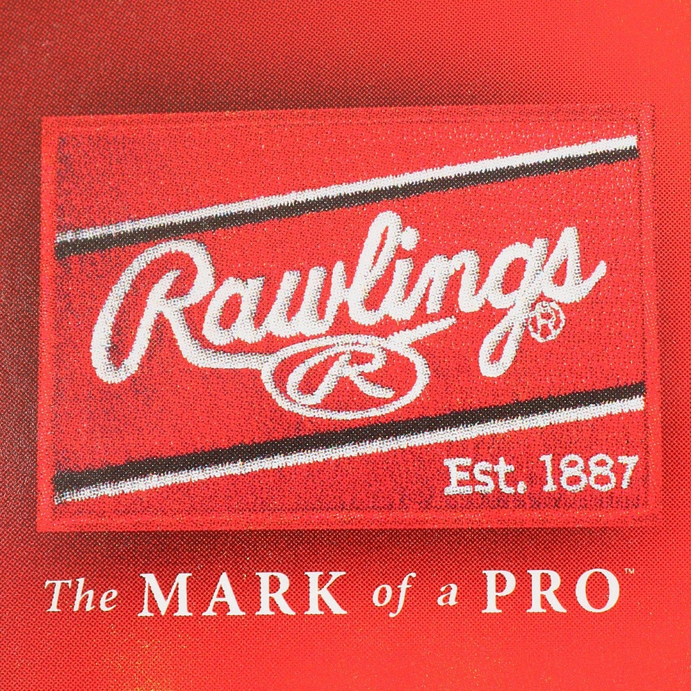 ローリングス（Rawlings）（メンズ、レディース）野球 アイブラック ステッカータイプ EB12