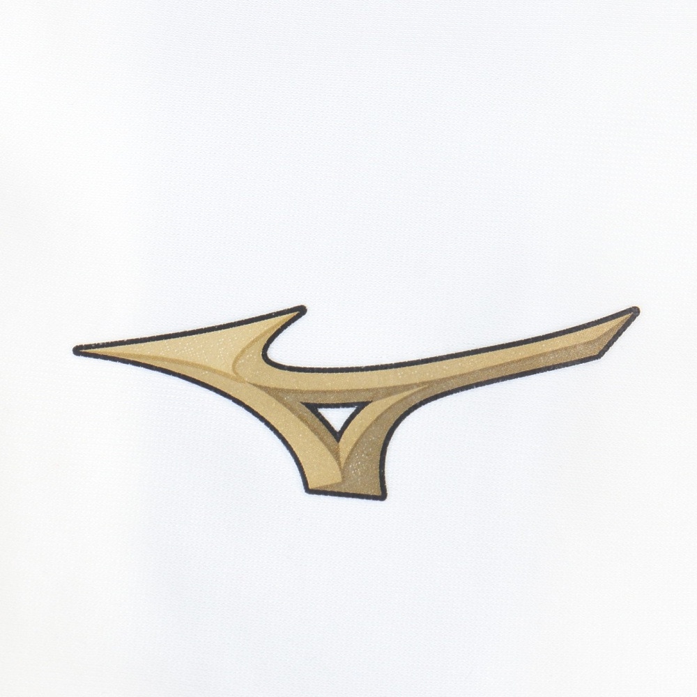 ミズノ（MIZUNO）（メンズ）野球 クーリングアームカバー ミズノプロ 片腕用 12JYBX5901