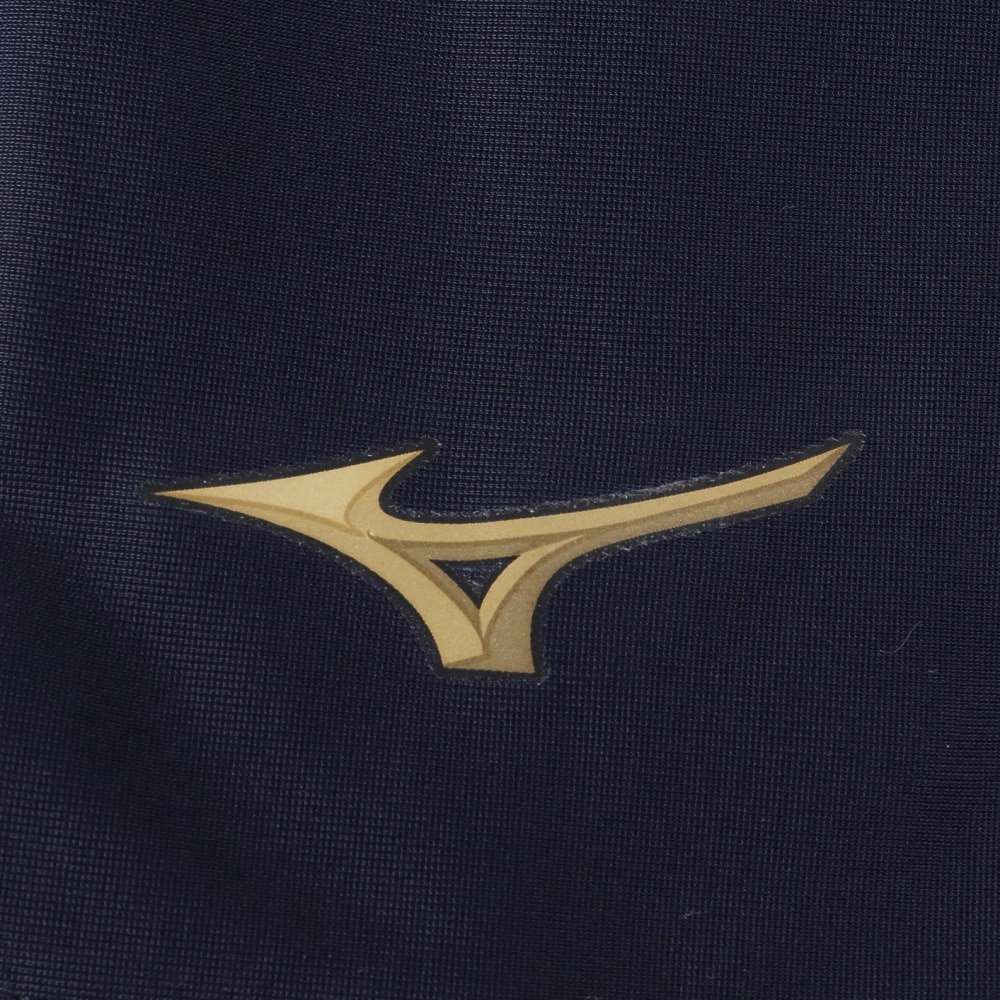 ミズノ（MIZUNO）（メンズ）野球 クーリングアームカバー ミズノプロ 片腕用 12JYBX5914