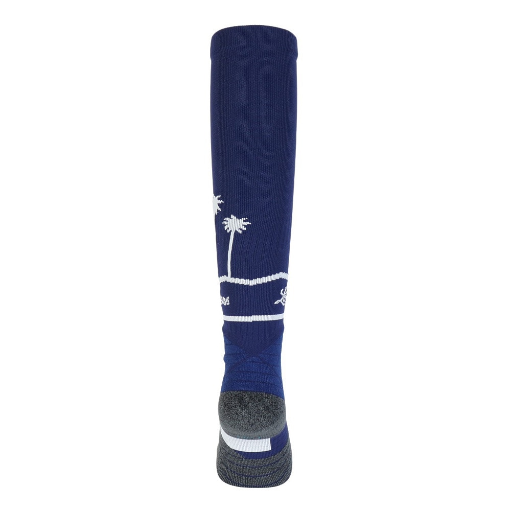 スタンス（STANCE）（メンズ）野球 DMND PRO LA SISTERS OTC M759B19DOD BLU