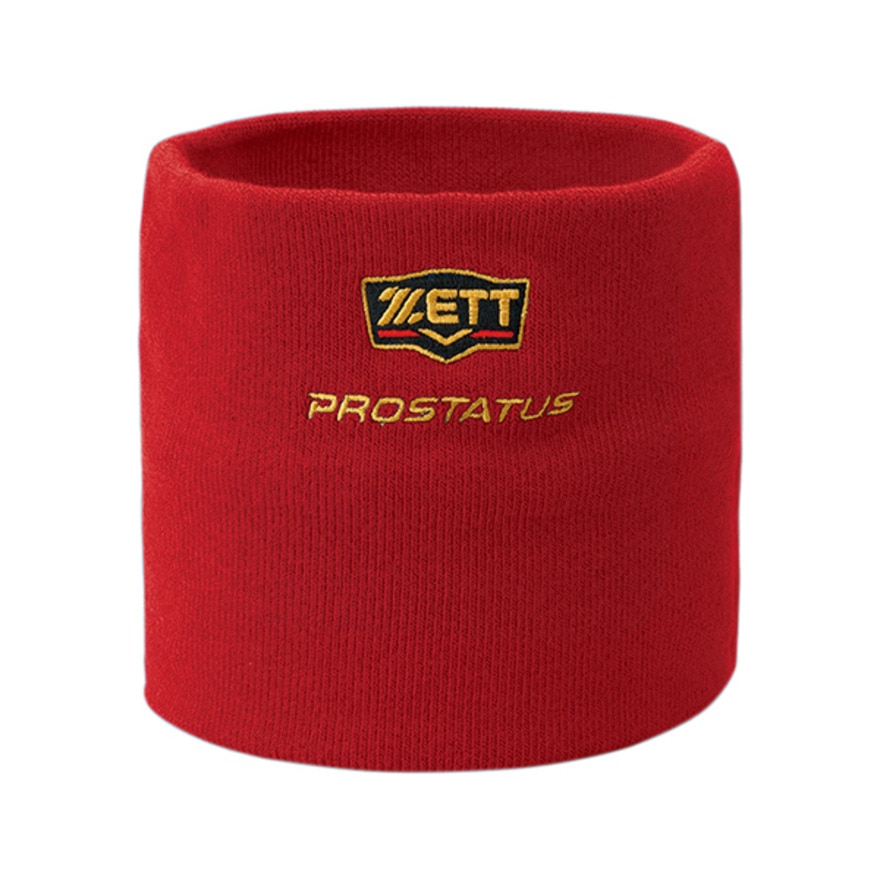 ゼット（ZETT）（メンズ、レディース）野球 ネックウォーマー プロステイタス PROSTATUS BFN110-6400