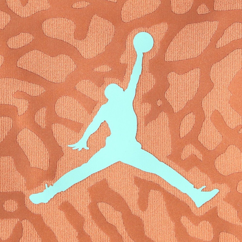 ジョーダン（JORDAN）（メンズ）野球 フライ スリーブ 片腕用アーム