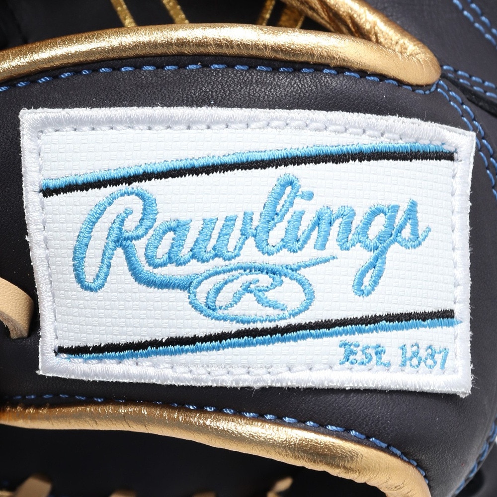 ローリングス（Rawlings）（レディース）ソフトボール用グラブ グローブ 投手用 女性専用 HOH DP COLORS GS5HDKM5-N/SX
