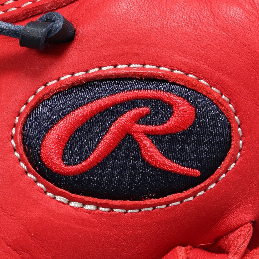ローリングス（Rawlings）（レディース）ソフトボール用グラブ グローブ 投手用 女性専用 HOH DP COLORS GS5HDKM5-SC/GRY