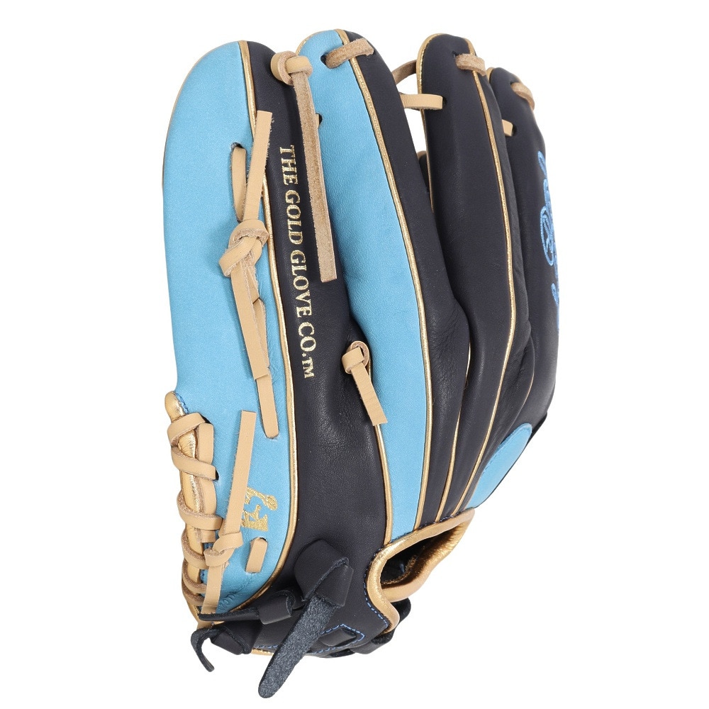 ローリングス（Rawlings）（レディース）ソフトボール用グラブ 内野手用 女性専用 HOH DP COLORS GS5HDR34GF-N/SX