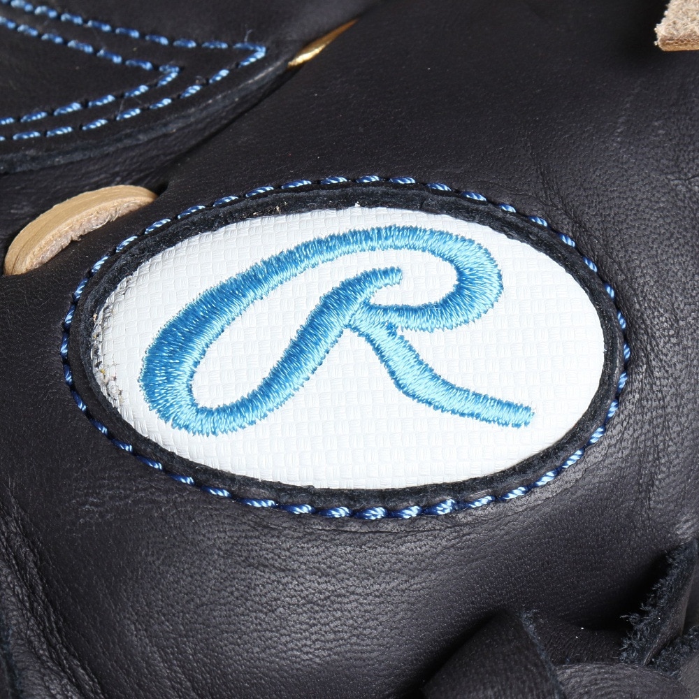 ローリングス（Rawlings）（レディース）ソフトボール用グラブ グローブ レディース オールラウンド用 ソフト HOH DP GS5HDS65-N/SX