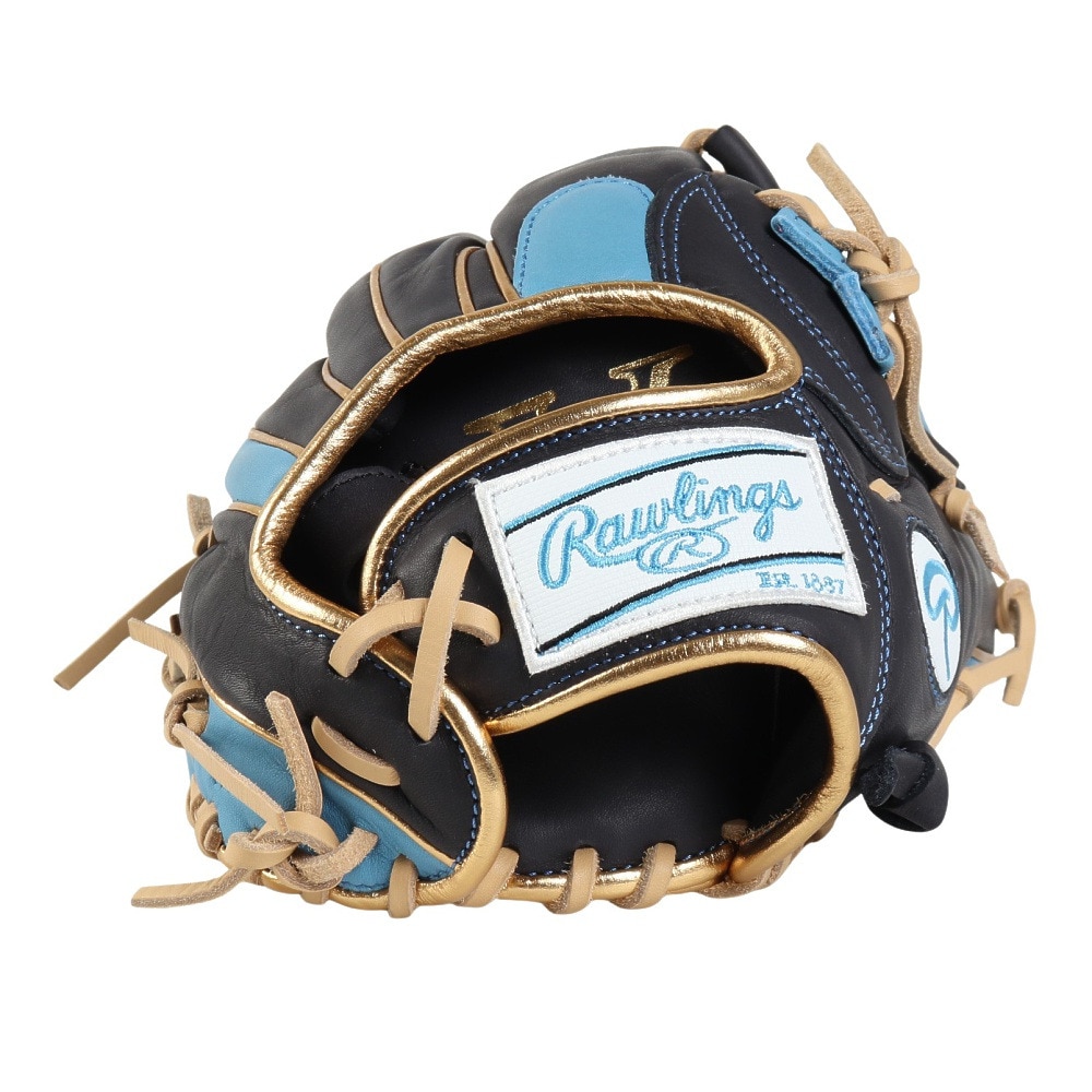 ローリングス（Rawlings）（レディース）ソフトボール用グラブ グローブ レディース オールラウンド用 ソフト HOH DP GS5HDS65-N/SX