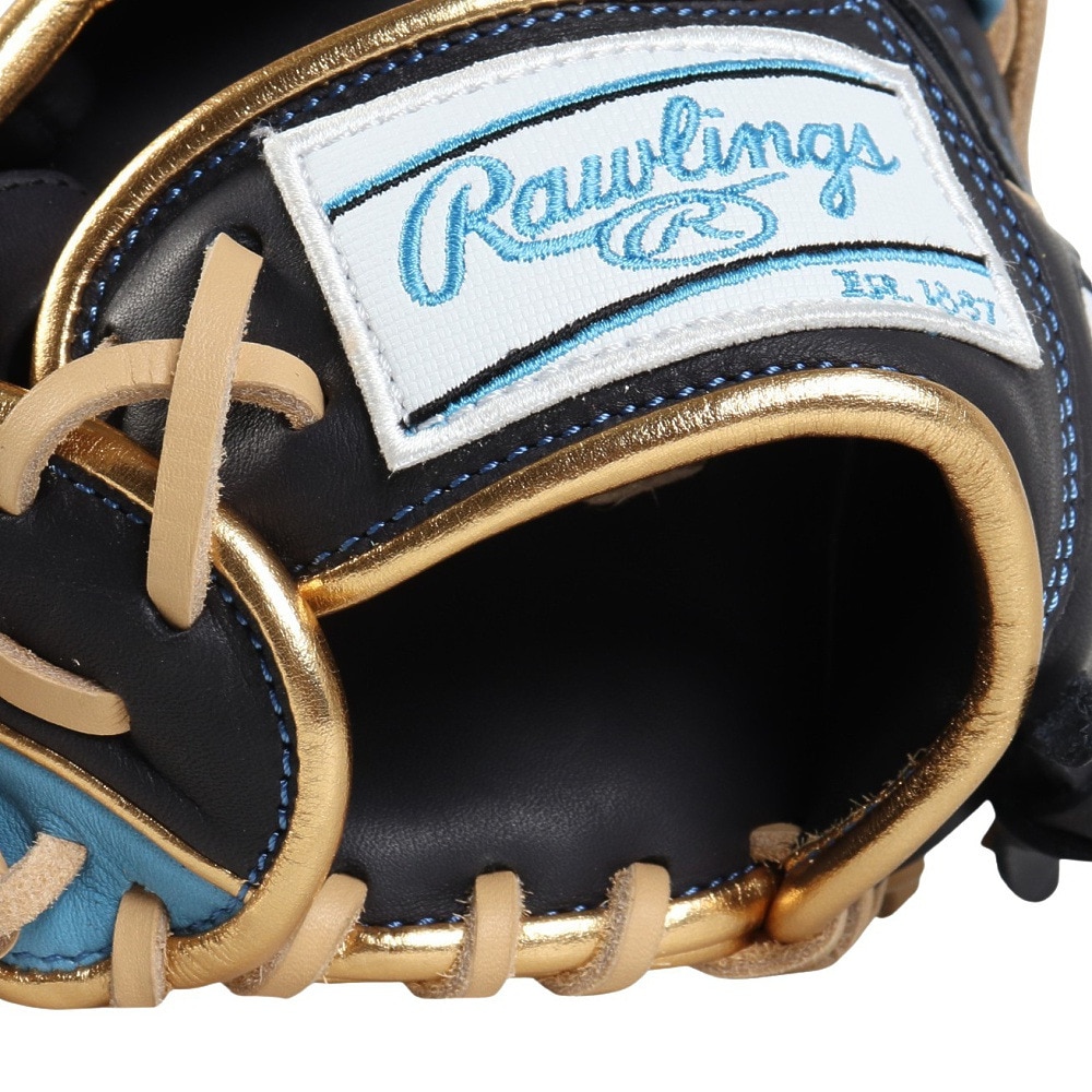 ローリングス（Rawlings）（レディース）ソフトボール用グラブ グローブ レディース オールラウンド用 ソフト HOH DP GS5HDS65-N/SX