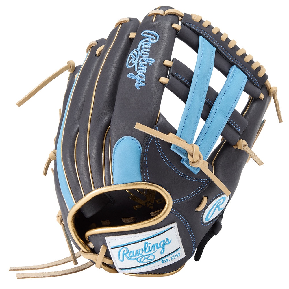 ローリングス（Rawlings）（レディース）ソフトボール用グラブ グローブ レディース オールラウンド用 ソフト HOH DP GS5HDS65-N/SX