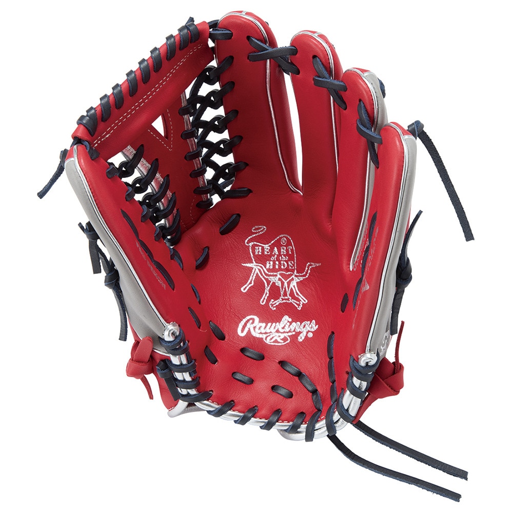 ローリングス（Rawlings）（レディース）ソフトボール用グラブ グローブ レディース オールラウンド用 ソフト HOH DP GS5HDS66-SC/GRY
