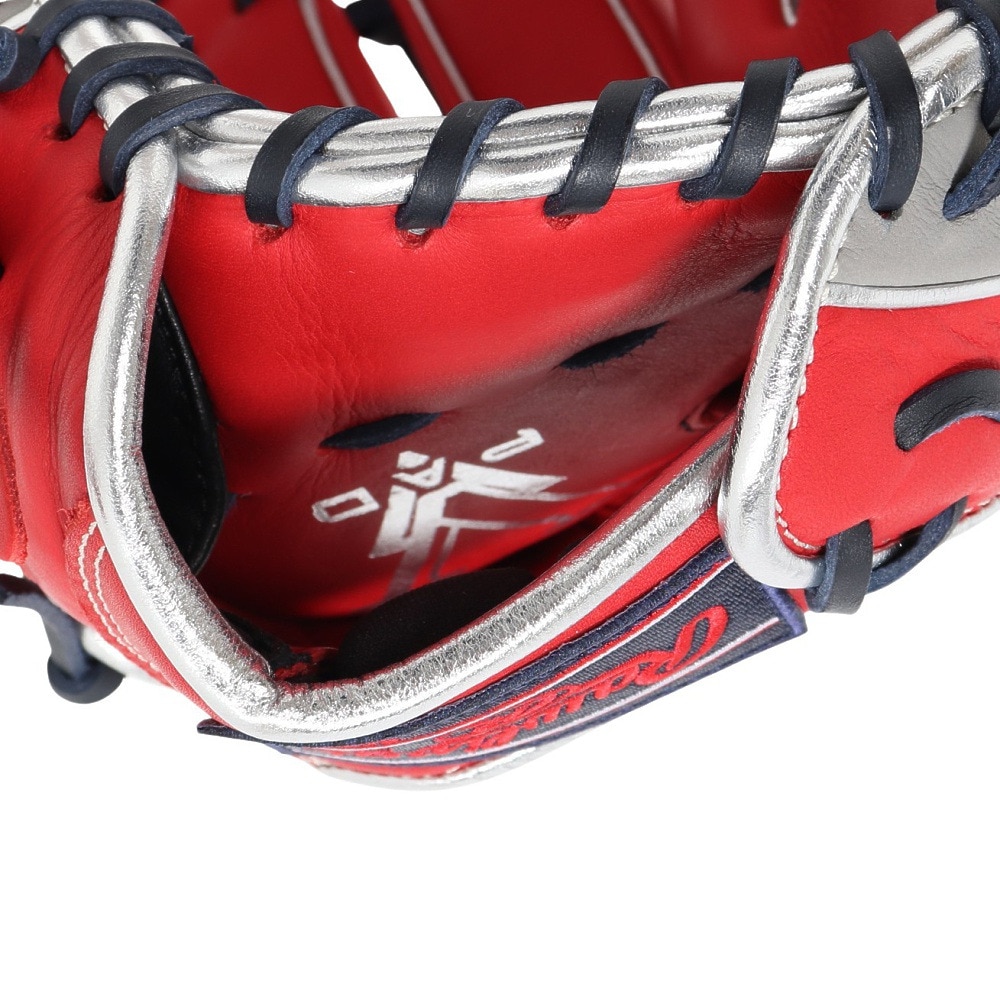 ローリングス（Rawlings）（レディース）ソフトボール用グラブ グローブ レディース オールラウンド用 ソフト HOH DP GS5HDS66-SC/GRY