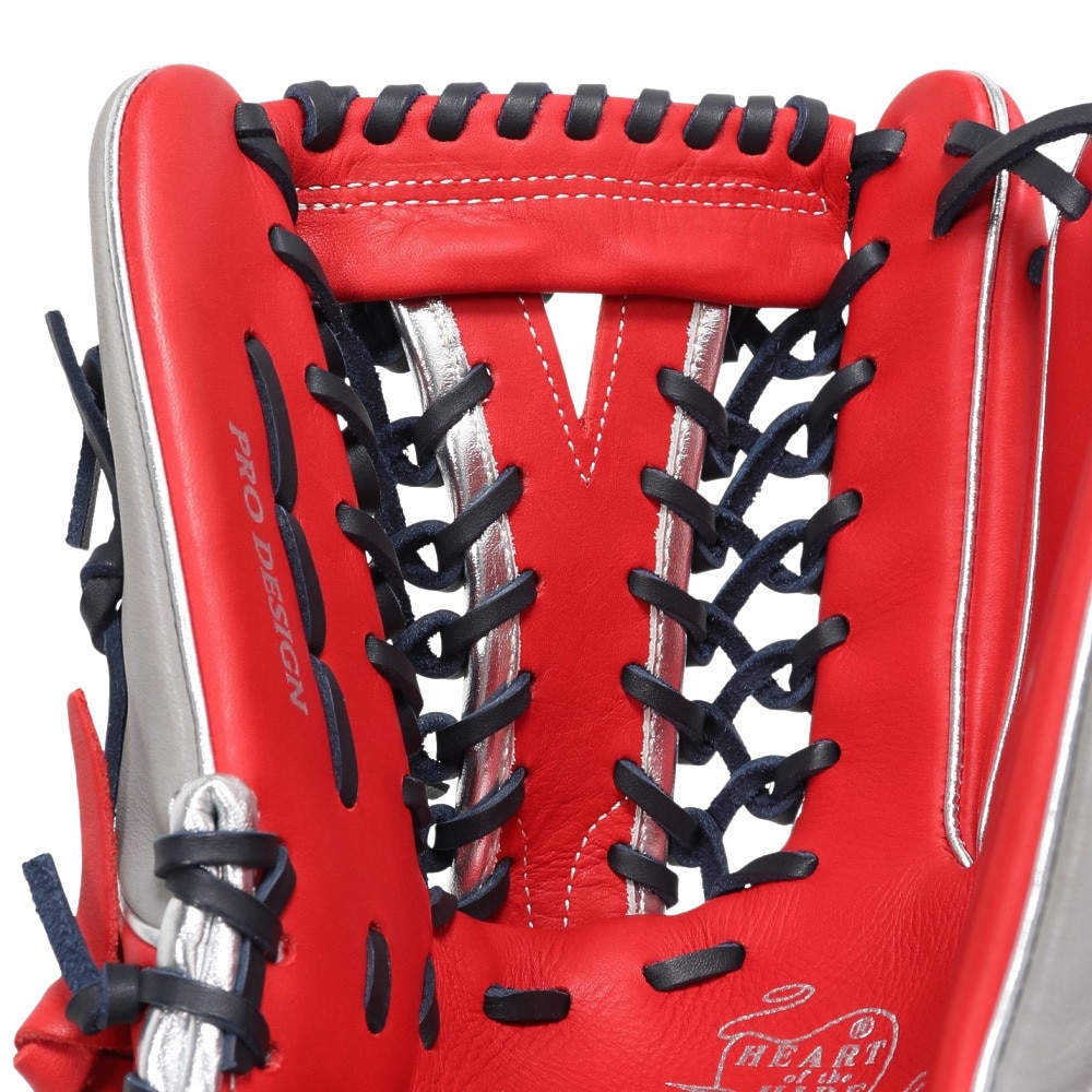 ローリングス（Rawlings）（レディース）ソフトボール用グラブ グローブ レディース オールラウンド用 ソフト HOH DP GS5HDS66-SC/GRY