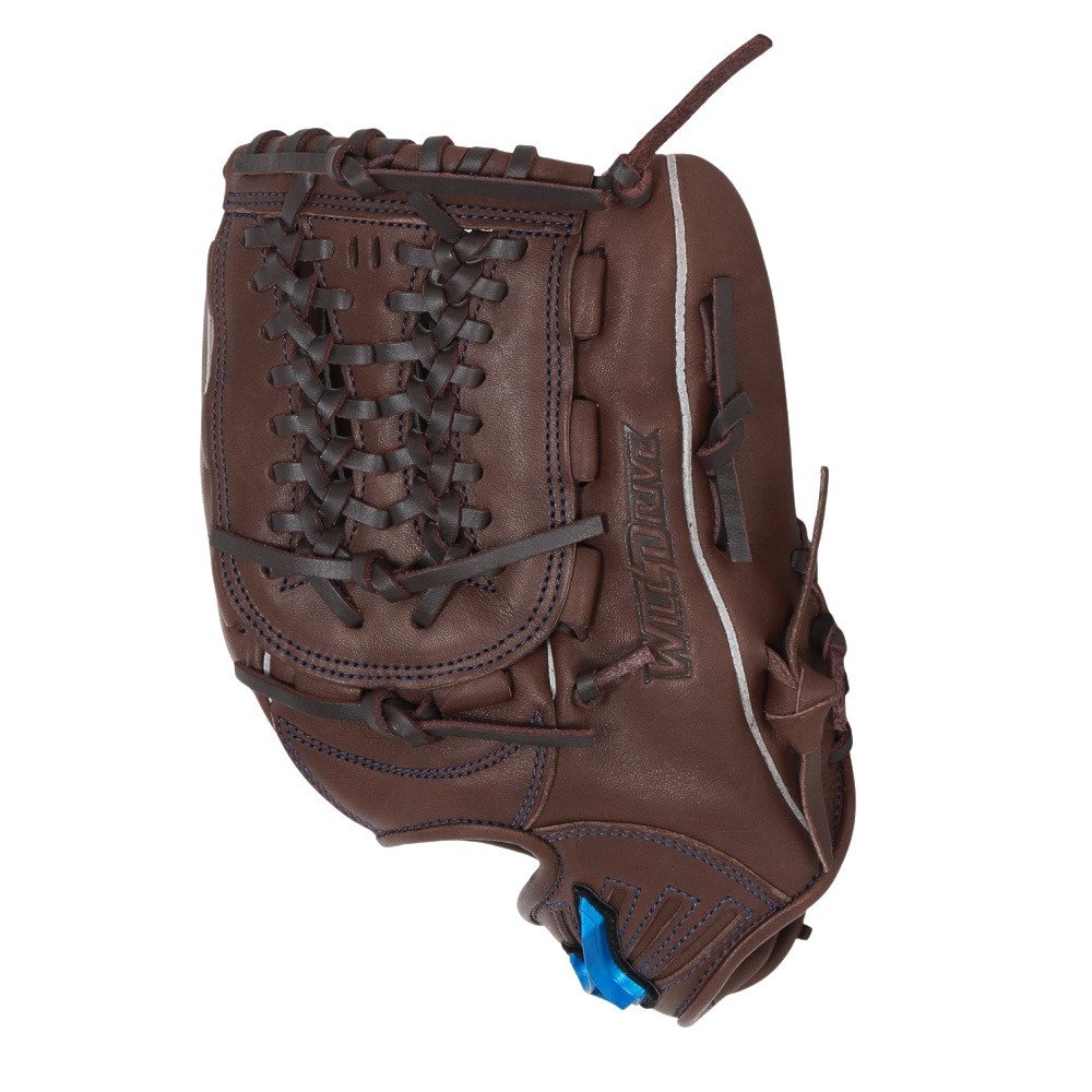 ミズノ（MIZUNO）（メンズ、レディース）ソフトボール用グラブ オール