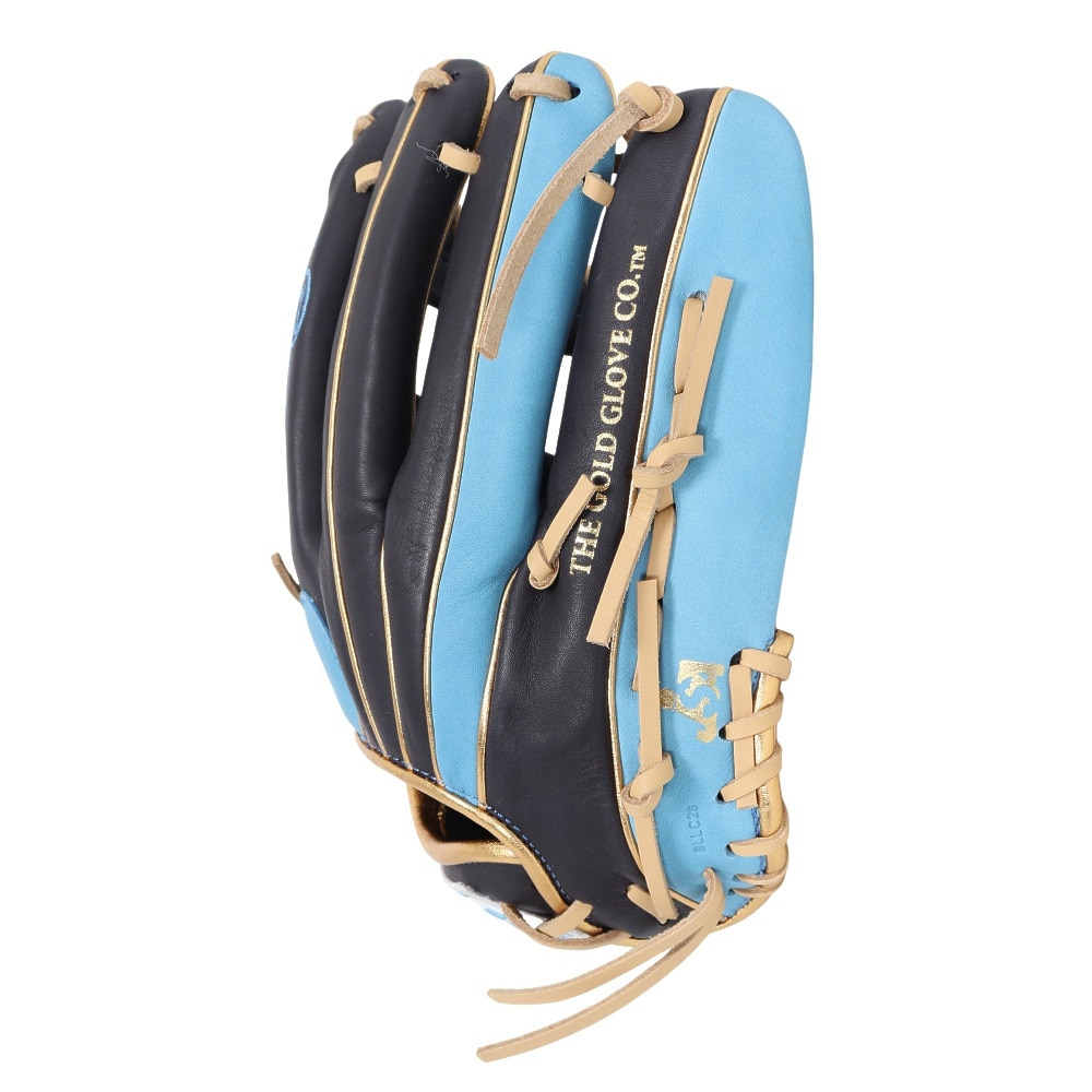 ローリングス（Rawlings）（レディース）ソフトボール用グラブ オールラウンド用 HOH DP S65 左投げ用 GS5HDS65-N/SX-RH