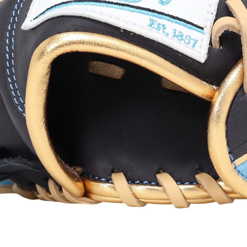 ローリングス（Rawlings）（レディース）ソフトボール用グラブ オールラウンド用 HOH DP S65 左投げ用 GS5HDS65-N/SX-RH