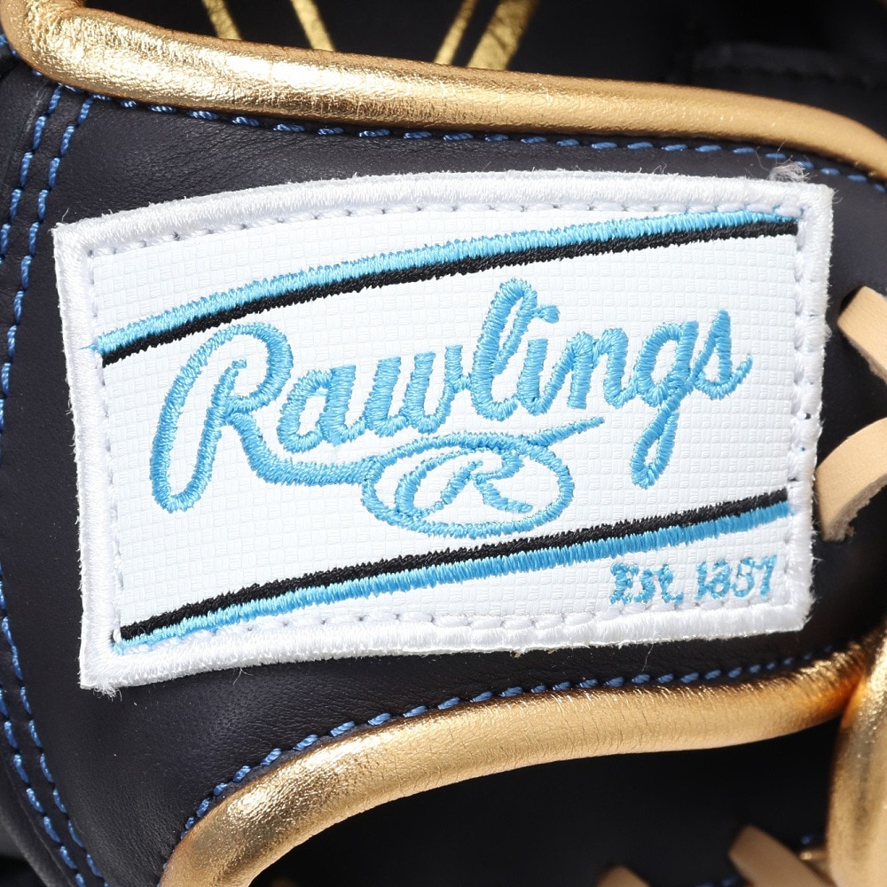 ローリングス（Rawlings）（レディース）ソフトボール用グラブ オールラウンド用 HOH DP S65 左投げ用 GS5HDS65-N/SX-RH