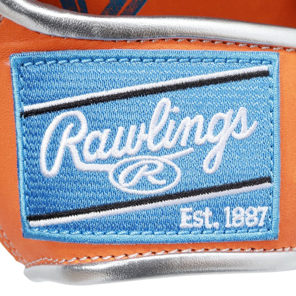 ローリングス（Rawlings）（メンズ、レディース）ソフトボール用グラブ