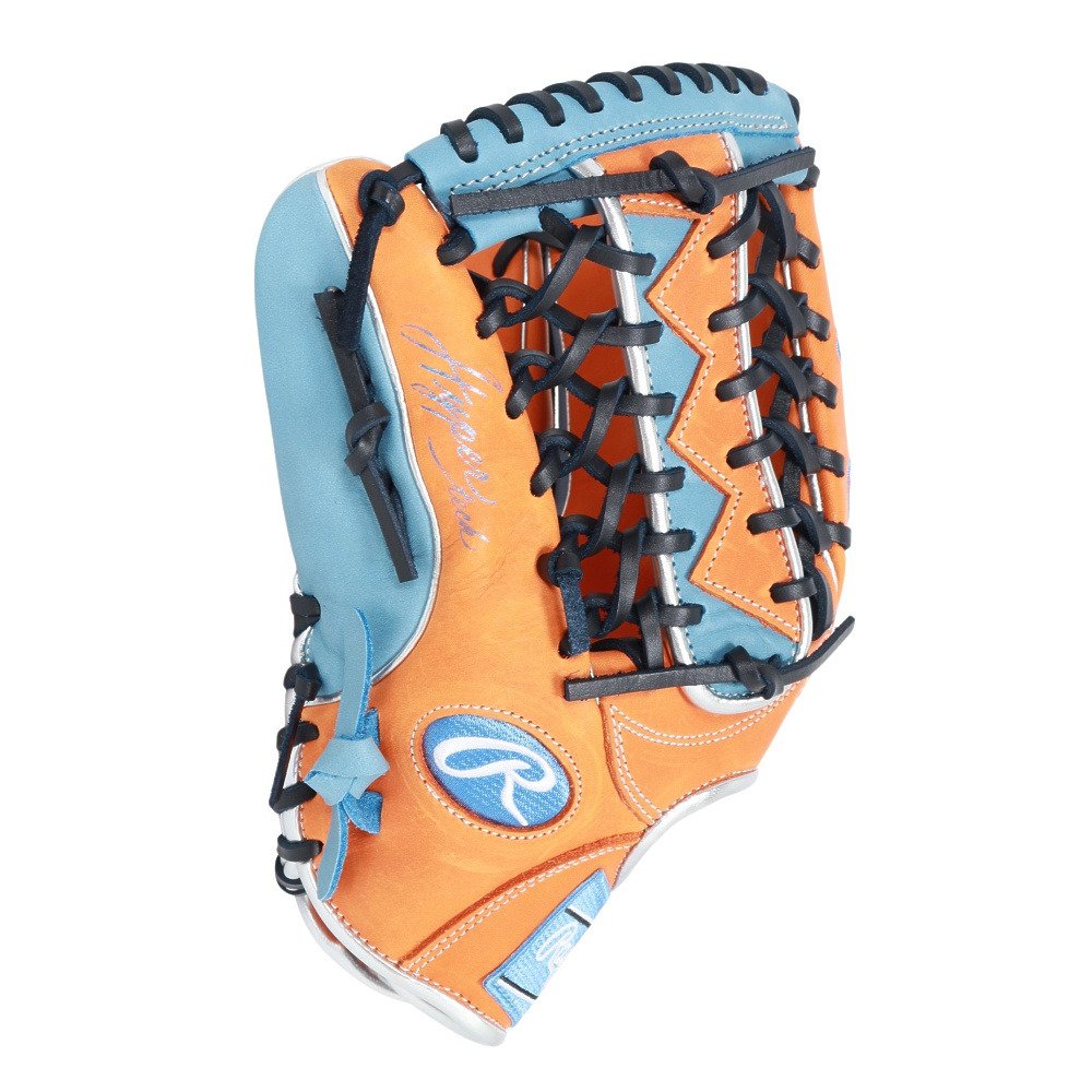 ローリングス（Rawlings）（メンズ、レディース）ソフトボール用グラブ