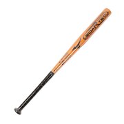 ミズノ（MIZUNO）（キッズ）ジュニア ソフトボール用金属製バット ソアテック 77cm/平均560g 1号用 1CJMS61177 54