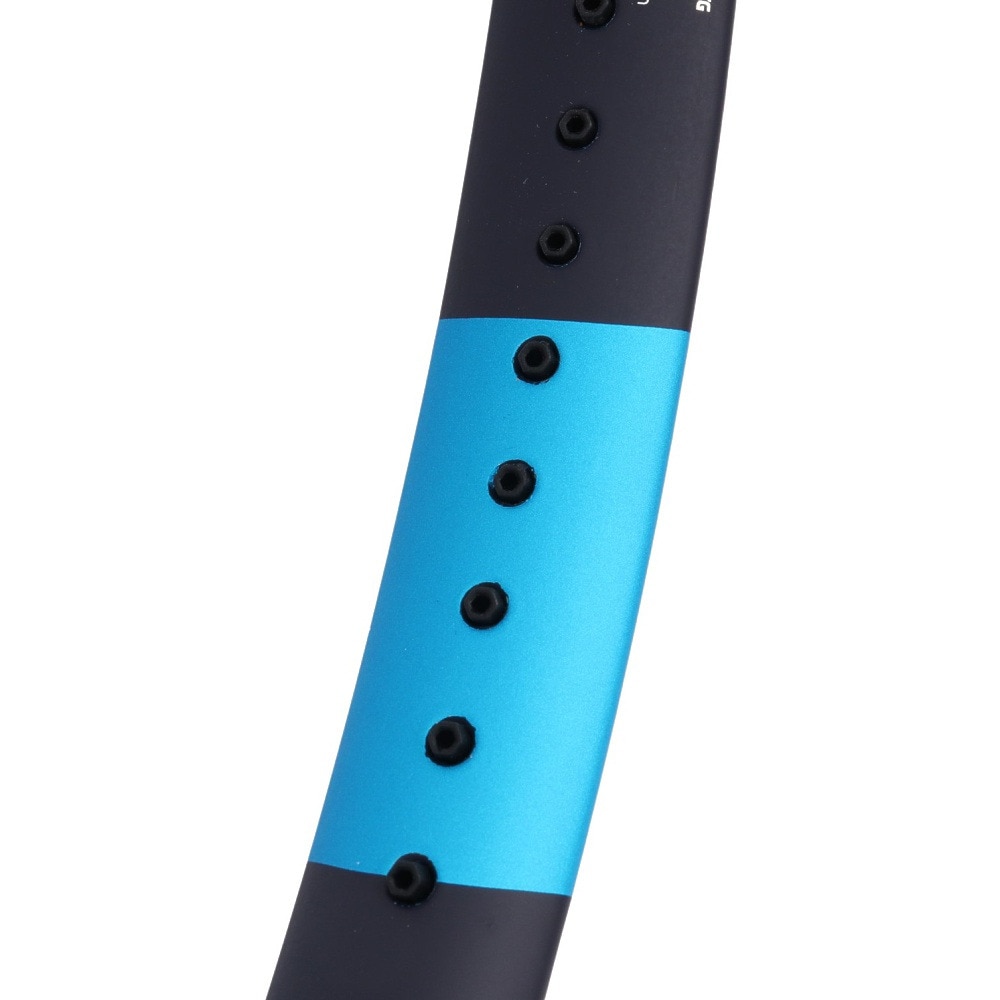 バボラ（BABOLAT）（メンズ、レディース）硬式用テニスラケット PURE DRIVE LITE 101443-NC