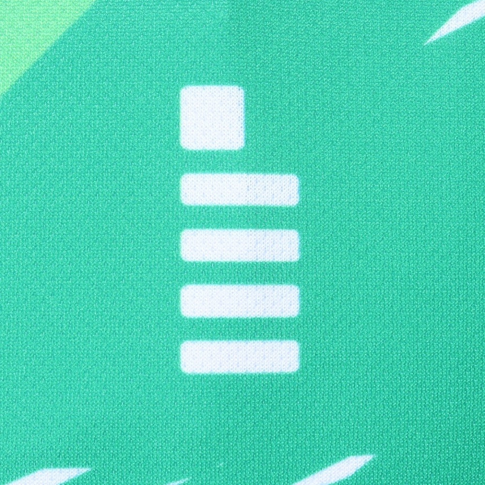 ゴーセン（GOSEN）（メンズ、レディース）テニスウェア ゲームシャツ Mサイズ T240248M 速乾