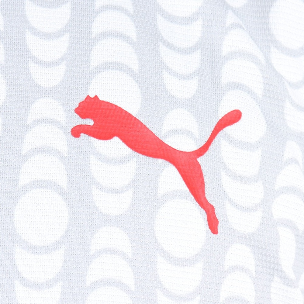 プーマ（PUMA）（メンズ）テニスウェア TENNES GRAPHIC Tシャツ 52305819
