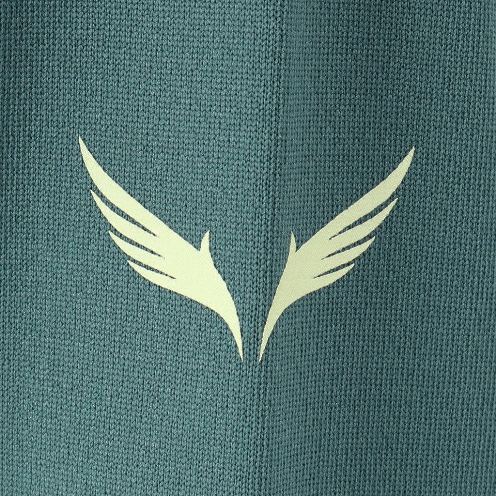 ルコックスポルティフ（lecoqsportif）（レディース）テニスウェア エールフォルム グラフィック長袖ゲームシャツ LN4FLT10L GR00