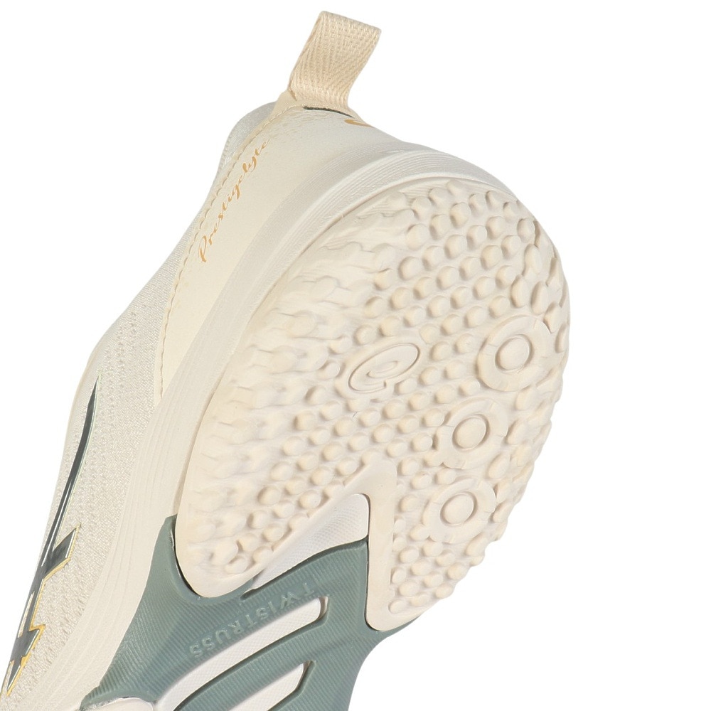 アシックス（ASICS）（メンズ、レディース）オム二コート用 テニスシューズ PRESTIGELYTE 5 OC プレステージライト5 1043A021.200