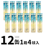 (メンズ、レディース、キッズ)HEAD PRO 4球入り1箱(12缶/48球)プレッシャーボール 571714 イエロー セット