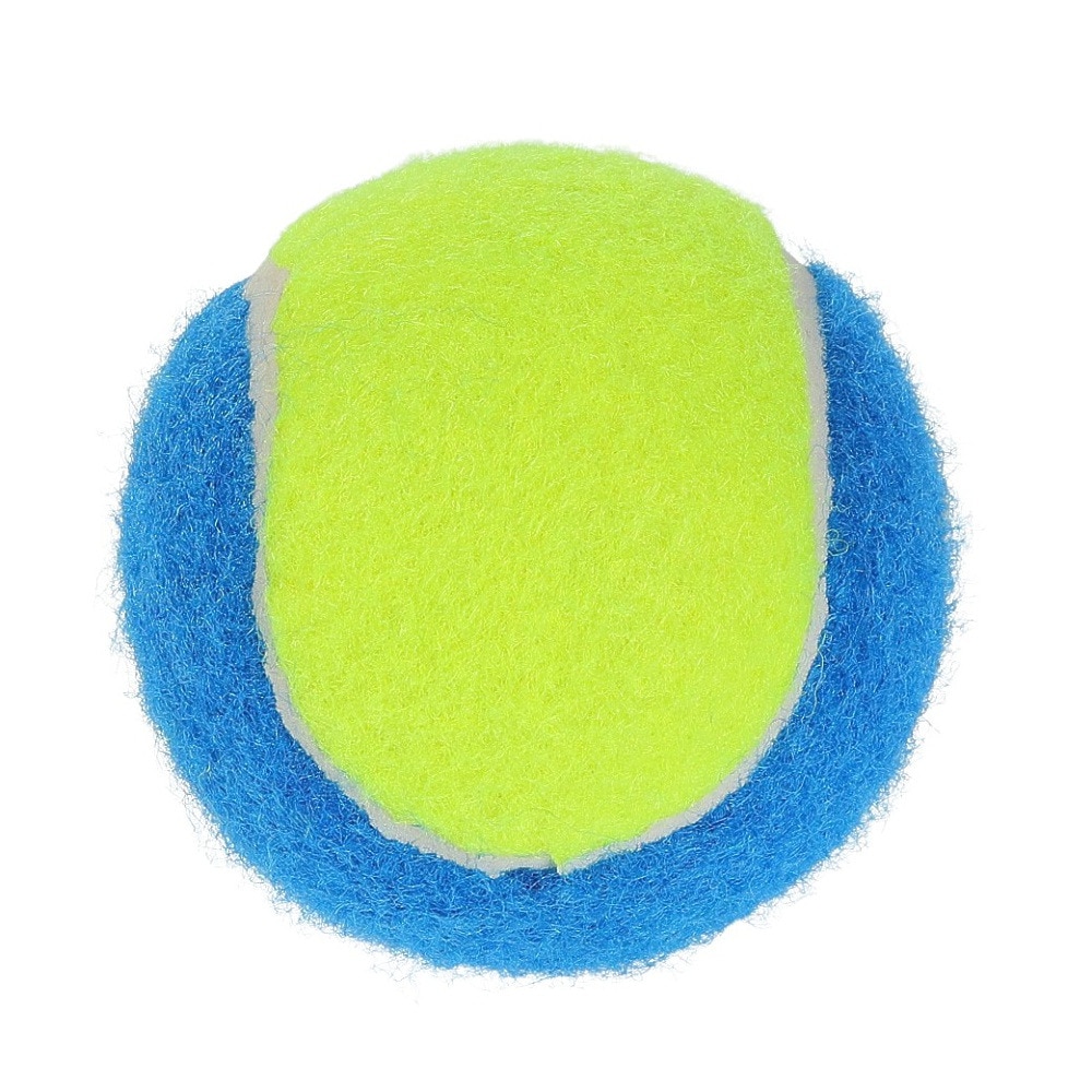 その他ブランド（OTHER BRAND）（メンズ、レディース）硬式用テニスボール ノンプレッシャーテニスボール 738NN3ZK0092 BL×YL