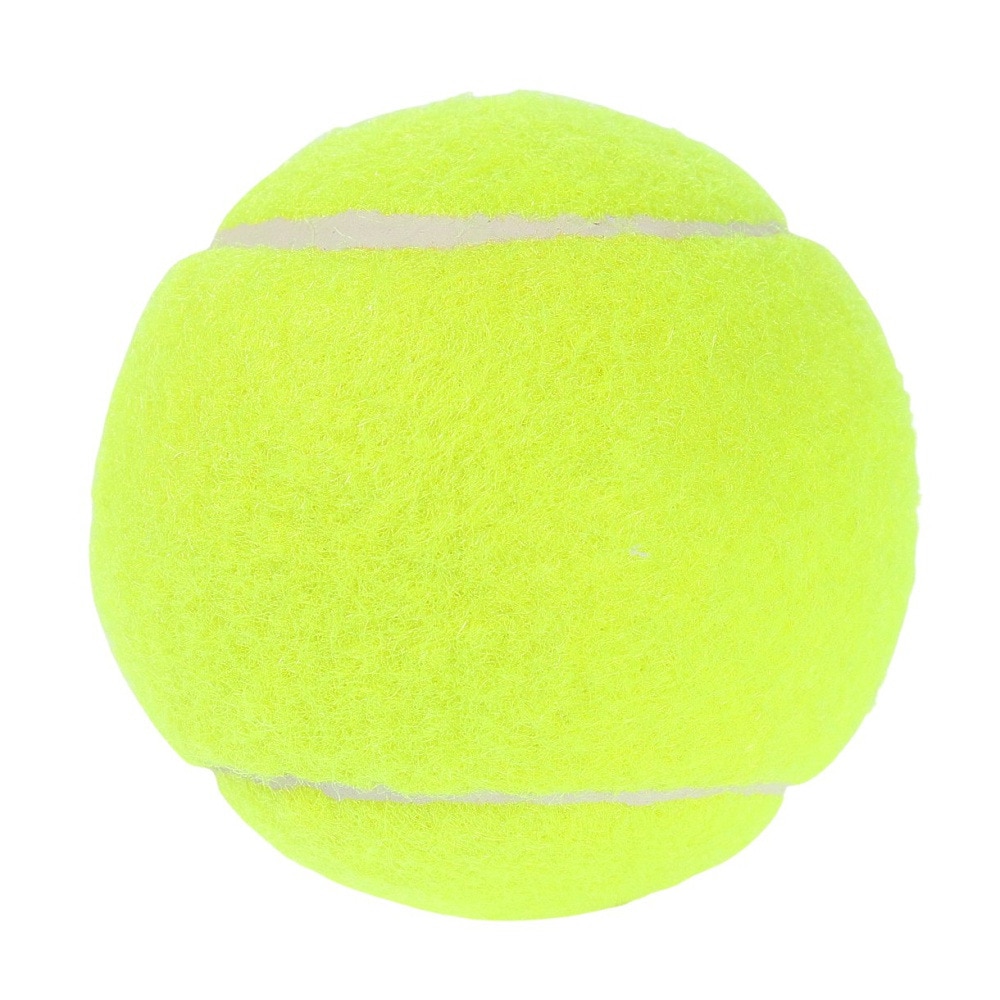 その他ブランド（OTHER BRAND）（メンズ、レディース）硬式用テニス 