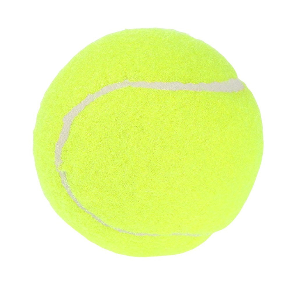 その他ブランド（OTHER BRAND）（メンズ、レディース）硬式用テニスボール ノンプレッシャーテニスボール 738NN3ZK0092 YEL