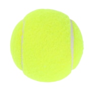 その他ブランド（OTHER BRAND）（メンズ、レディース）硬式用テニスボール ノンプレッシャーテニスボール 738NN3ZK0092 YEL
