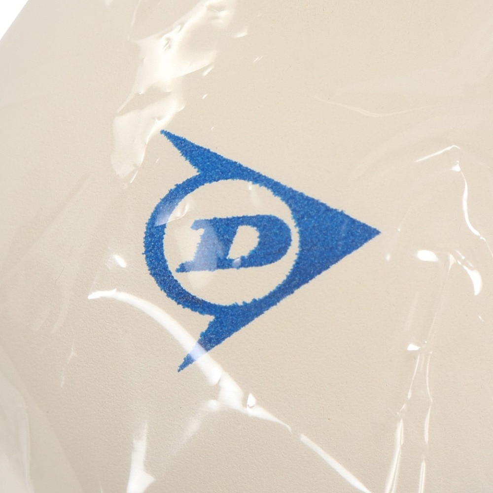 ダンロップ（DUNLOP）（メンズ、レディース、キッズ）ソフトテニスボール 練習2個入 DSTBPRA2TIN