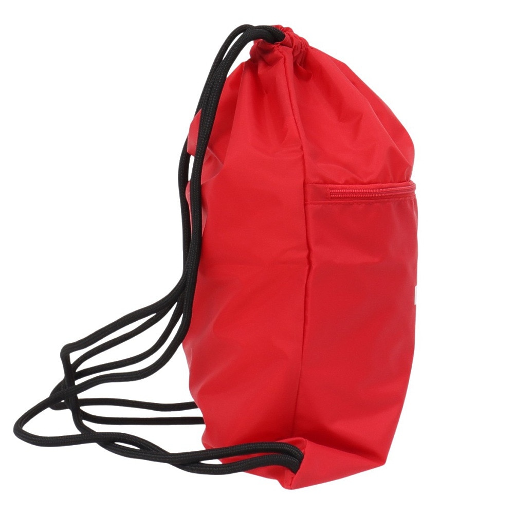 ウイルソン（Wilson）（メンズ、レディース、キッズ）ピックルボール ナップサック DRAW BAG WR8908101001